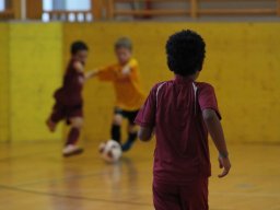 mini-IMG_6926